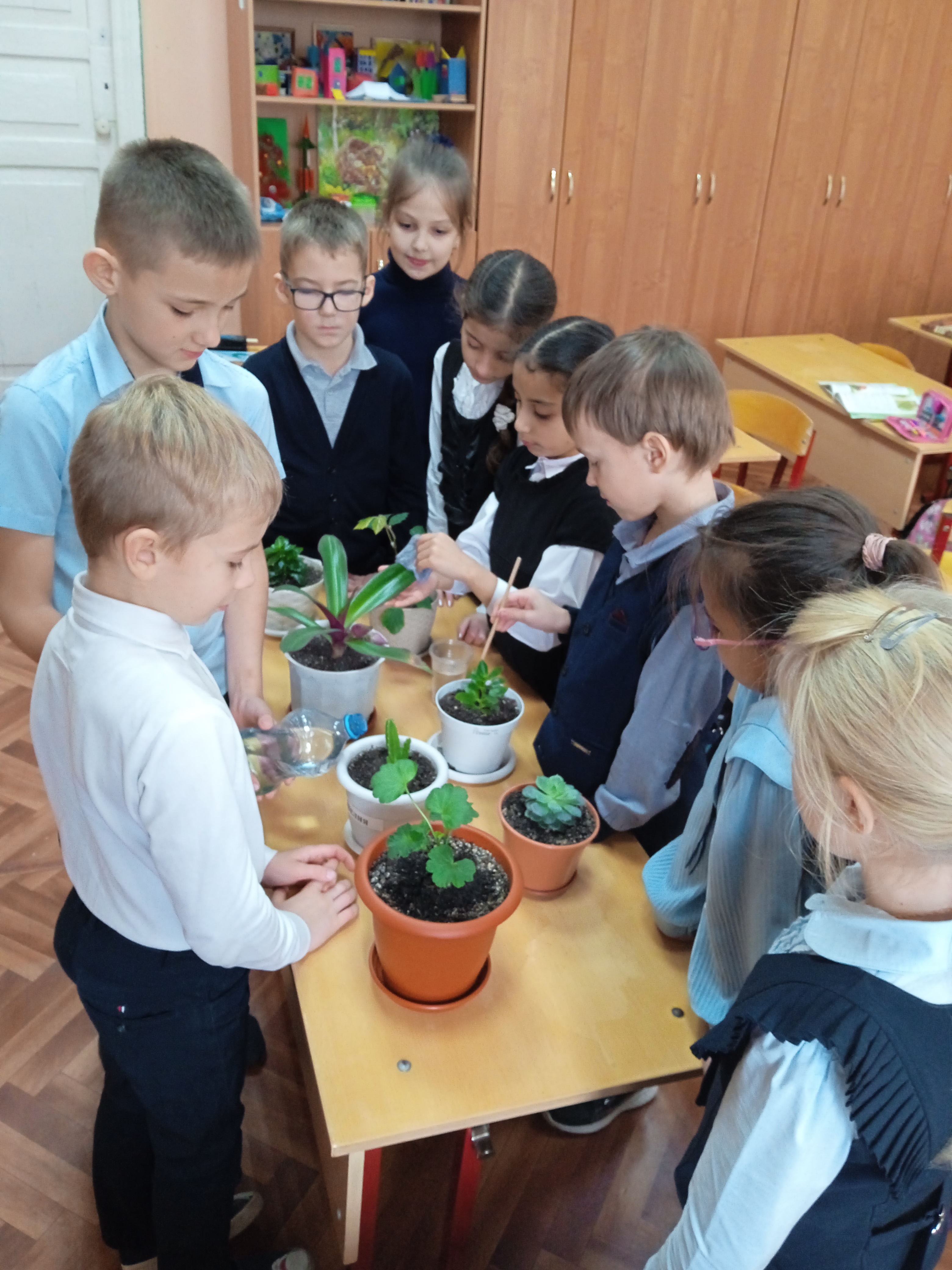 Учимся ухаживать за комнатными растениями.