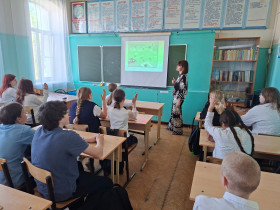       Безопасность на дорогах .