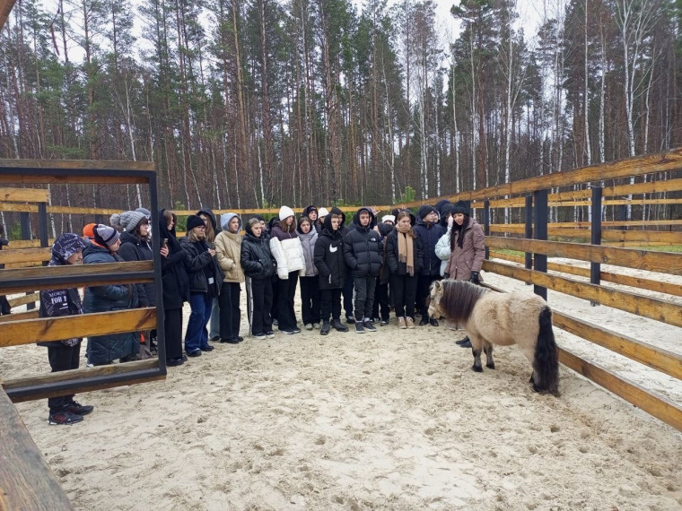 Конная усадьба «Путь».