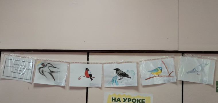 Выставка рисунков «Птицы нашего края».